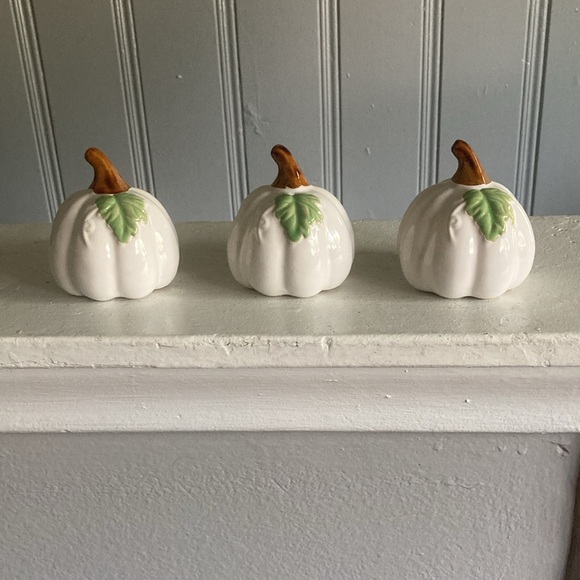 NWT- Set of 3- White- Green Leaf - Porcelain Glazed Fall Pumpkin Decorations 🍂 - Picture 15 of 16